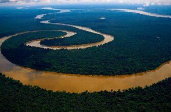 Река Амазонка, фото