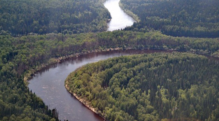 Река Демьянка, фото