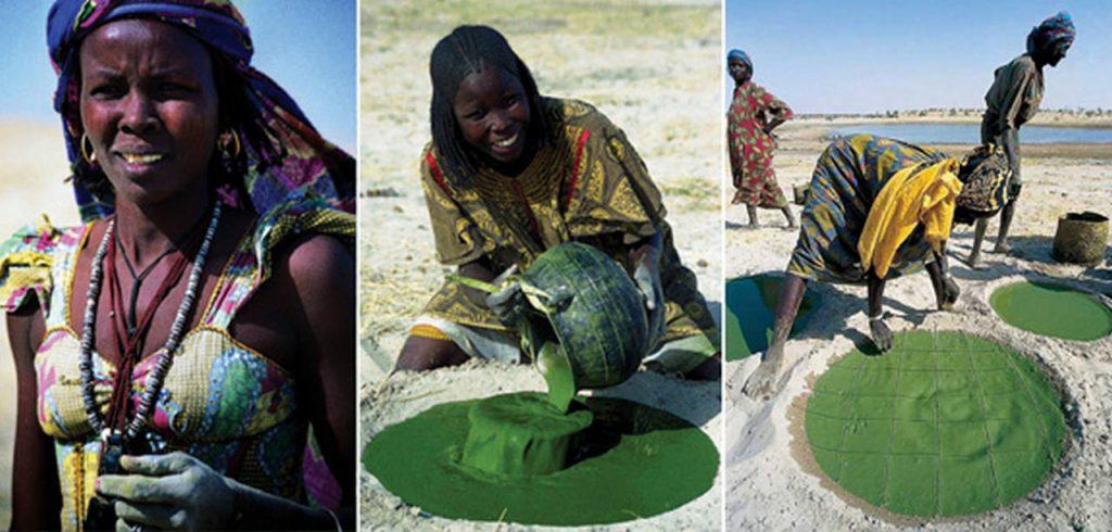 Заготовка спирулины на озере Чад, фото