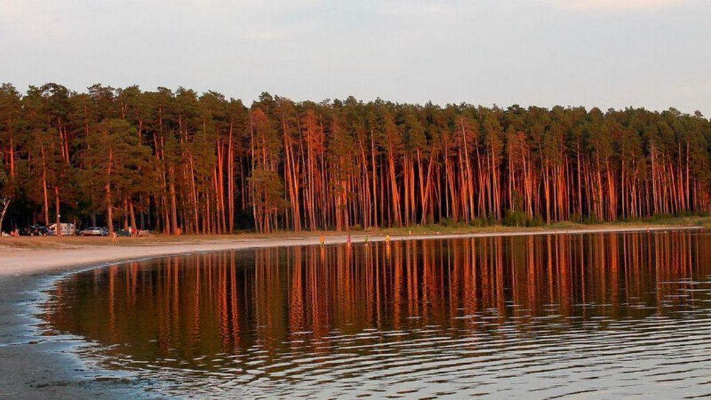 Озеро Горькое, курганская область, фото