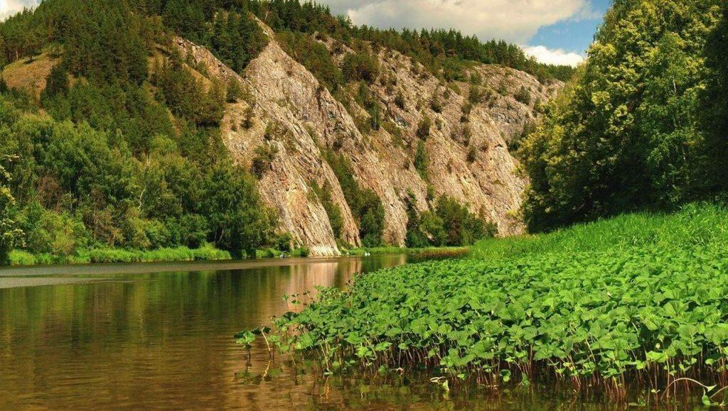Водоросли на реке Белая, Башкортостан, фото