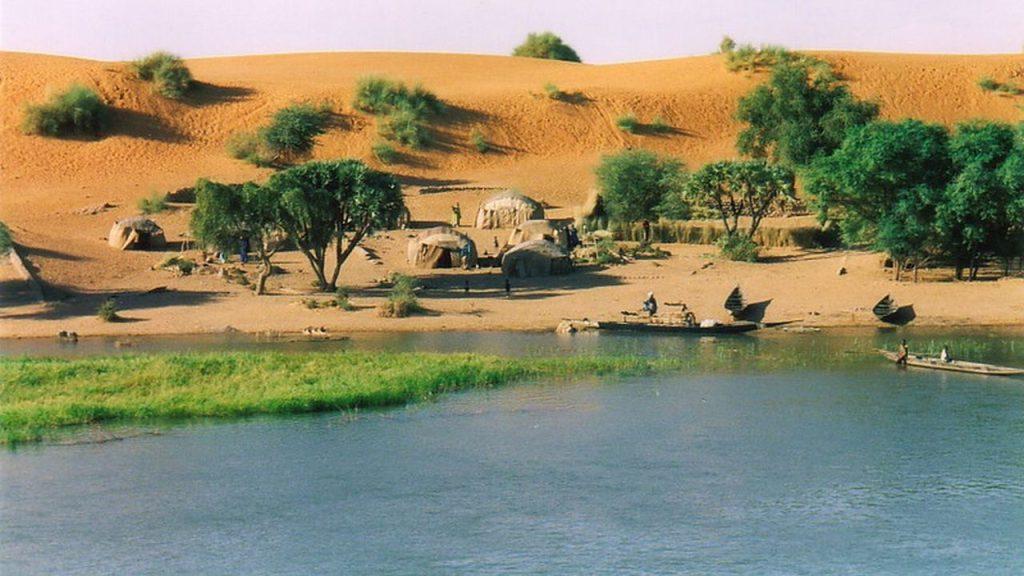 Растительность на берегах реки Нигер, фото