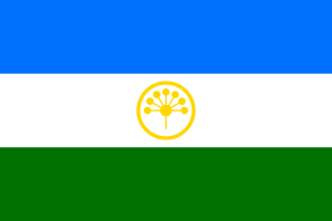 Флаг Башкортостана, фото