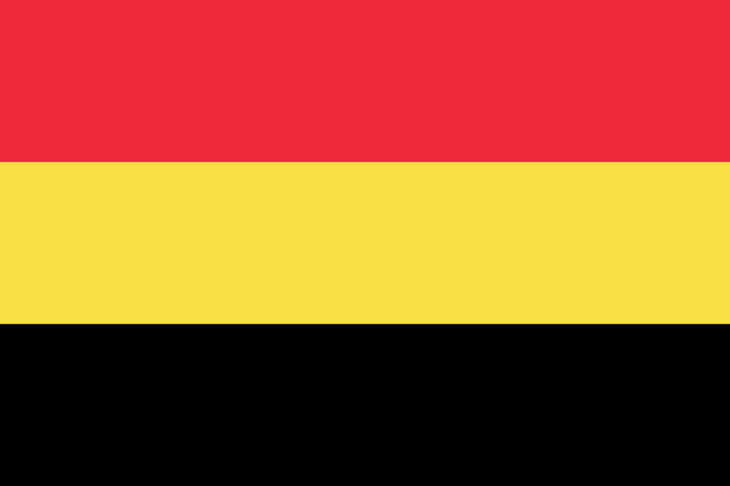Флаг Бельгии (1830-1831), фото